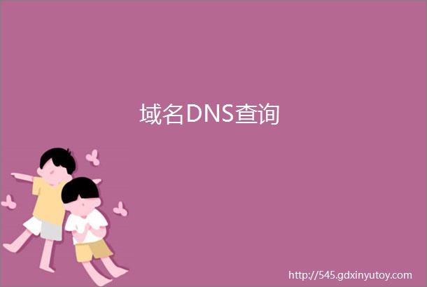 域名DNS查询