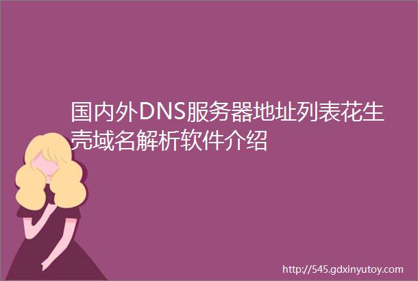 国内外DNS服务器地址列表花生壳域名解析软件介绍